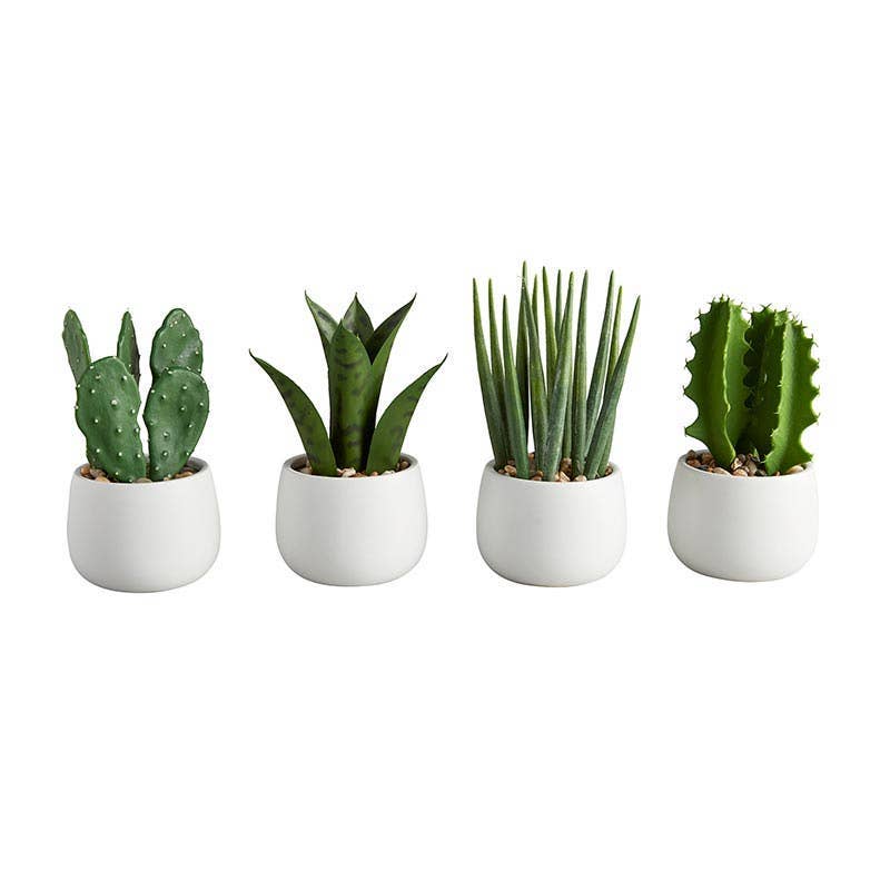 Cactus In Pot Set